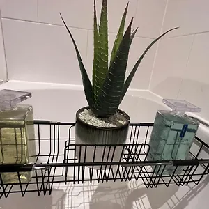 https://precioushouseluxurystay.brighton-hotels-england.com